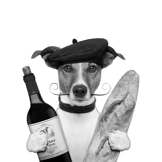 ワインと犬